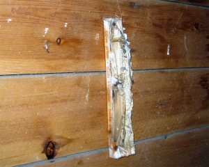 Dåtidens toapapper. En katalog fastspikad i väggen som man rev sidor ut.