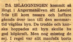 luffare_nasare_1 luffare_nasare_1