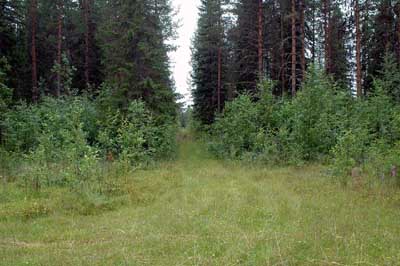H&auml;r g&aring;r man ned till Sunnansj&ouml; by fr&aring;n gamla v&auml;gen.